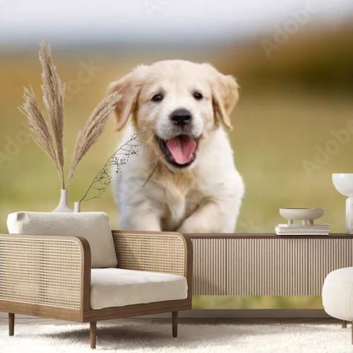 Sticker Gelukkig golden retriever pup