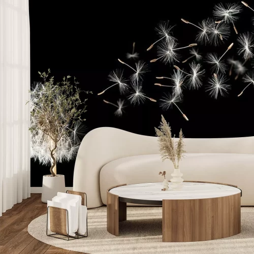 Fotobehang Paardenbloem met zaden