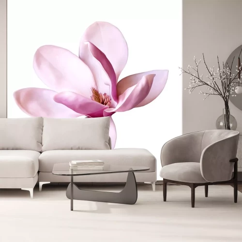Sticker Grote magnolia op een witte achtergrond
