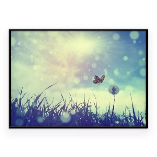 Poster Vlinder en paardebloem op een achtergrond van zonneschijn