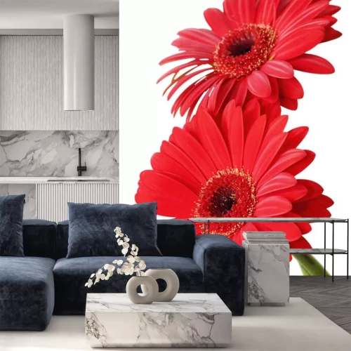 Sticker Twee grote rode bloemen