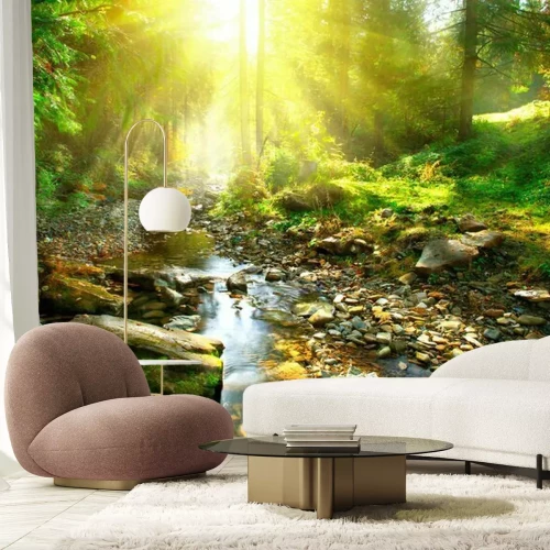 Fotobehang Een bergbeek in de zon