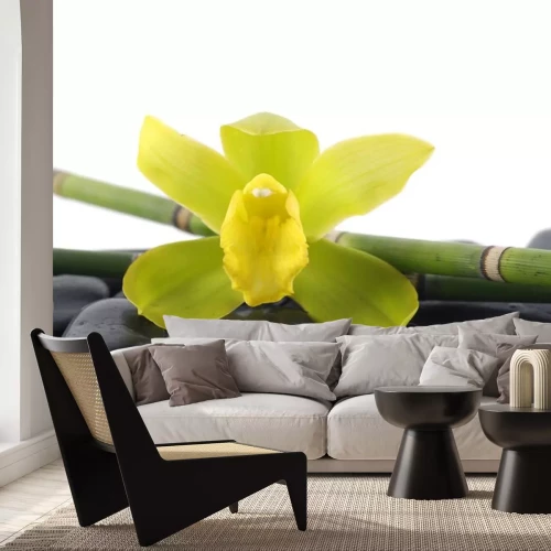 Sticker Macro van groene orchidee met bamboebos op kiezelstenen