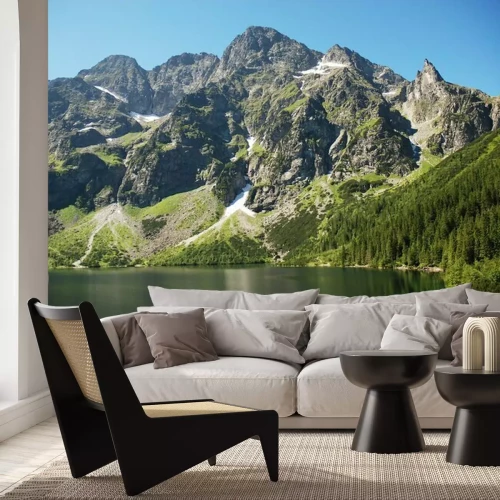 Fotobehang Natuurlijke bergen met planten