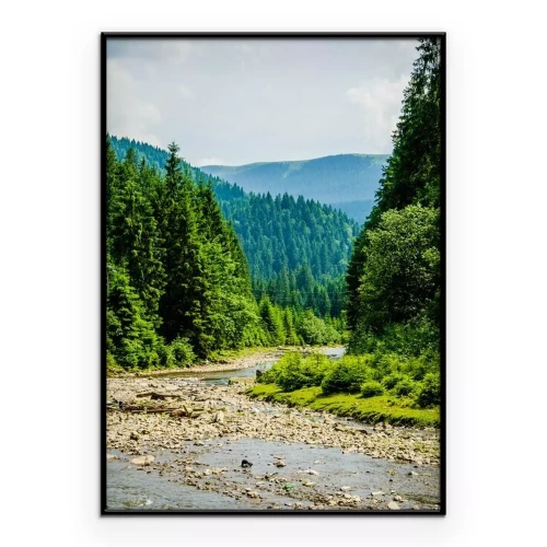 Poster Een beek die door een dicht naaldbos stroomt.