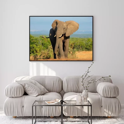 Visualisatie van het product