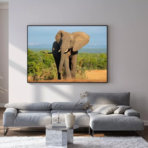 Visualisatie van het product