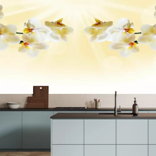 Fotobehang Prachtige witte orchidee