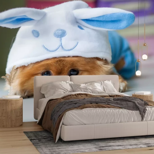 Sticker Pommeren puppy in een grappige bunny kostuum