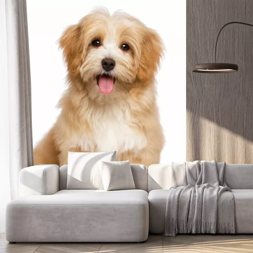 Sticker Een foto van een lachende puppy.