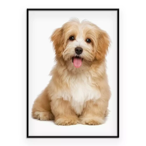 Poster Een foto van een lachende puppy.