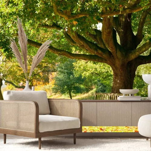 Fotobehang Landschap van een parkbank in de herfst