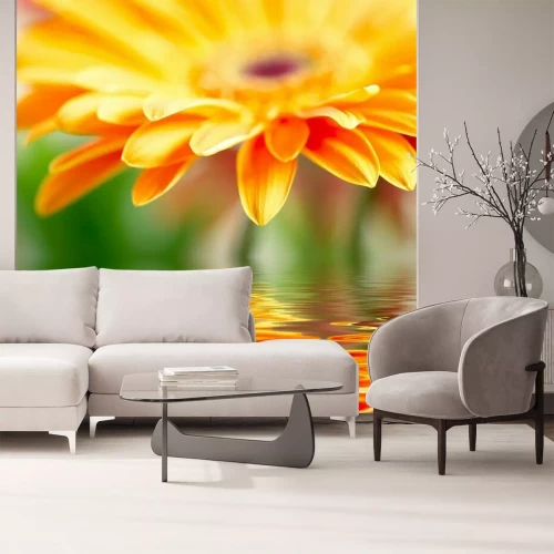 Fotobehang Oranje bloem en weerspiegeling in water