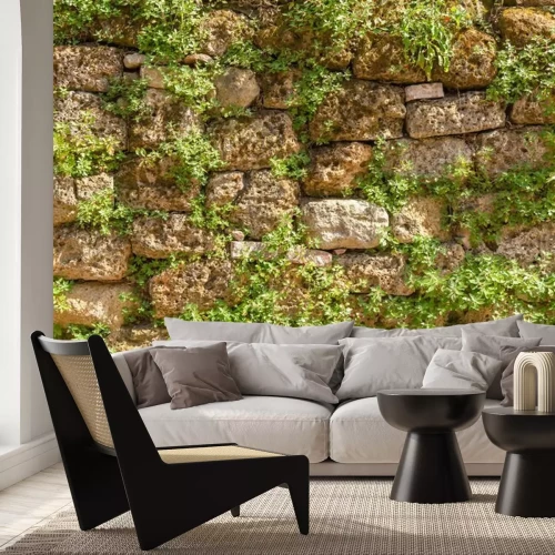 Fotobehang Planten op stenen muur