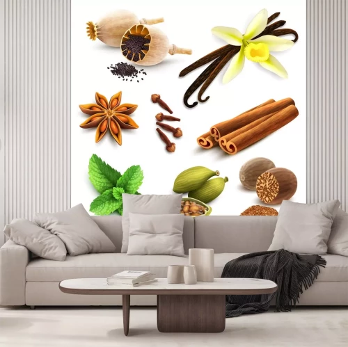 Sticker Kruiden en specerijen set