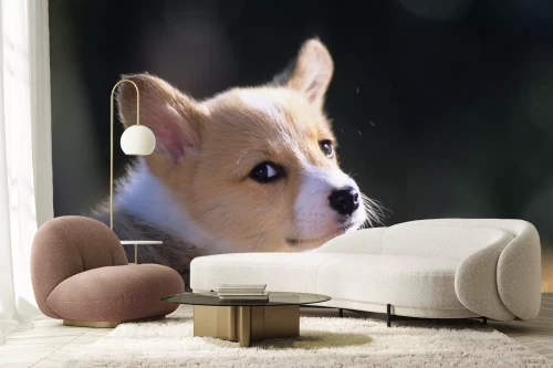 Visualisatie van het product