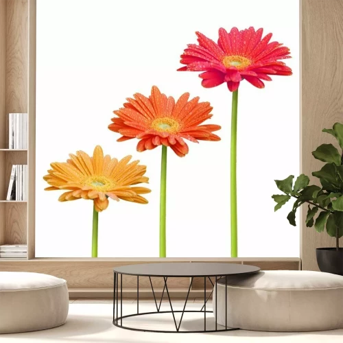Sticker Drie bloemen van verschillende hoogtes