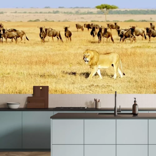 Fotobehang Leeuw op de Masai Mara in Afrika