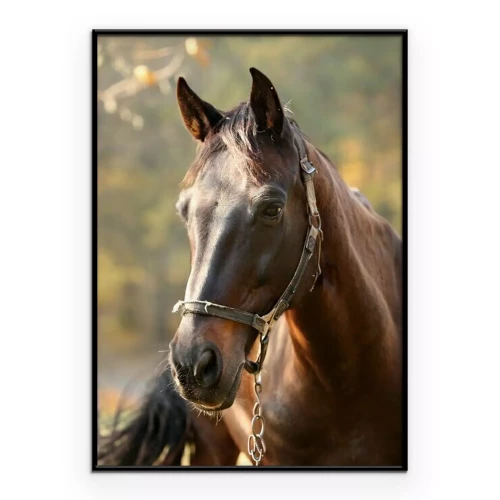 Poster Buste van een grazend paard