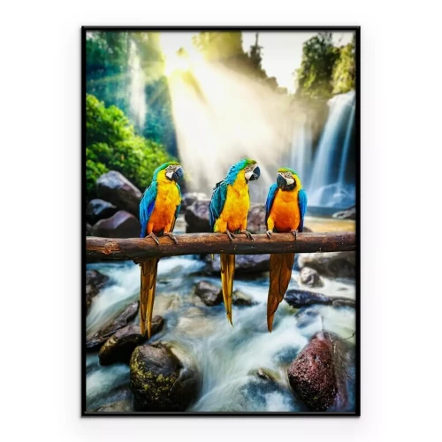 Poster Blauw-en-gele Ara Ara ararauna