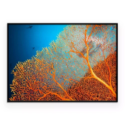 Poster Duikers verkennen een oranje koraalrif.