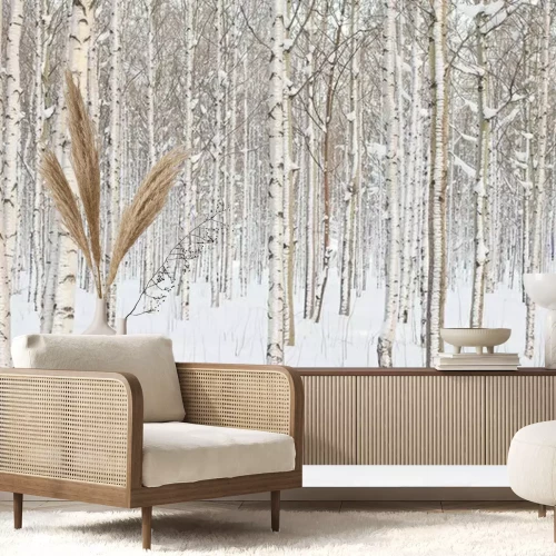 Fotobehang Dunne berkenbomen in de winter