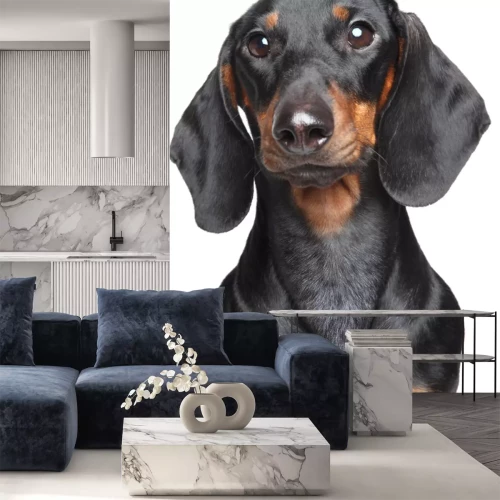 Sticker Miniatuurtekkel