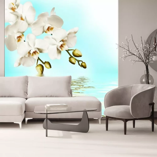 Fotobehang Witte bloemen en water