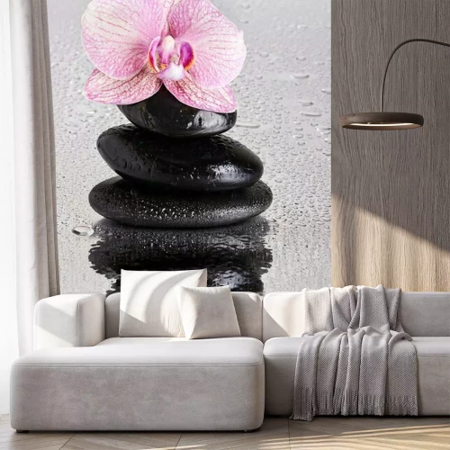 Fotobehang Roze orchideeën steentjes en waterdruppels