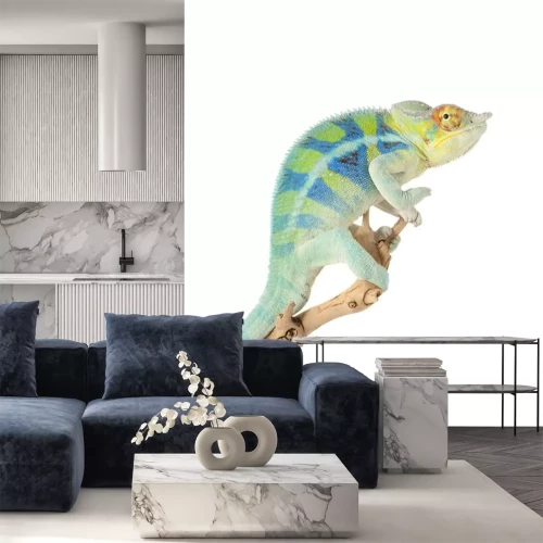 Sticker Ambanja Panther Kameleon