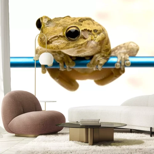 Sticker freddy de kikker