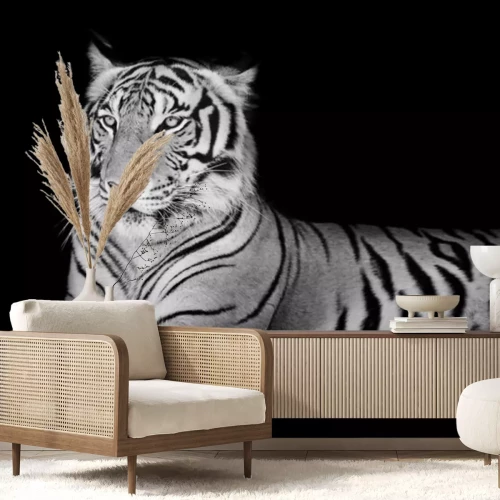 Sticker Tijger met opgeheven kop en rechtopstaande oren