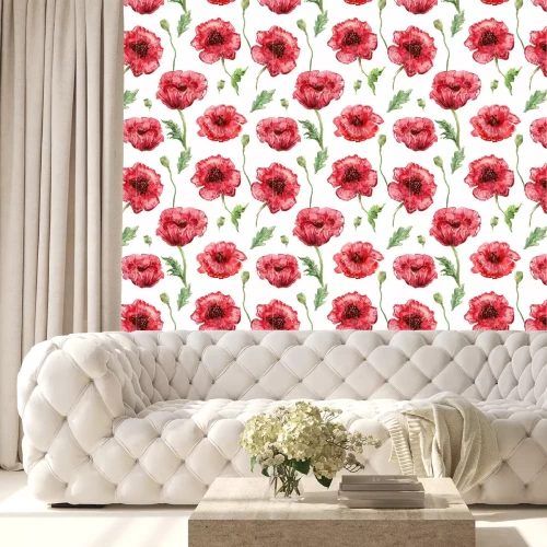 Behang Waterverf klaprozen op witte achtergrond