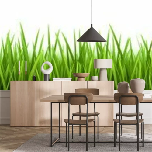 Fotobehang Groen gras illustratie