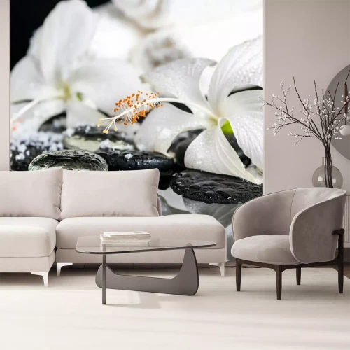 Fotobehang Orchideeën op water