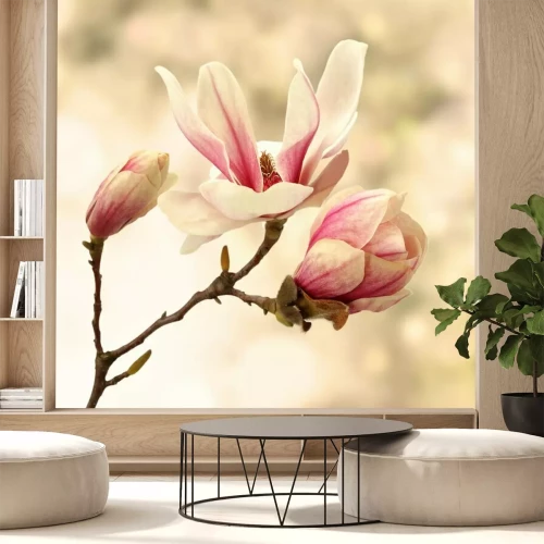 Fotobehang Een tak met magnoliabloemen op een wazige achtergrond