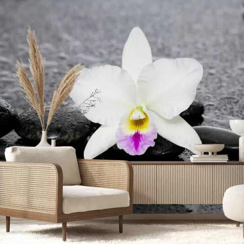 Sticker Mooie witte orchidee met therapiestenen