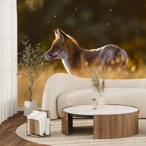 Fotobehang Vos in de weide