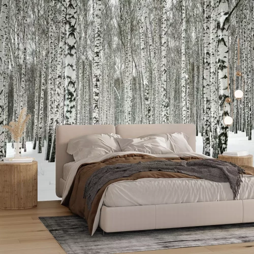 Fotobehang Winter sneeuw en berken