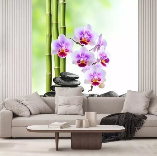 Fotobehang Orchideeën stenen en groene bamboe