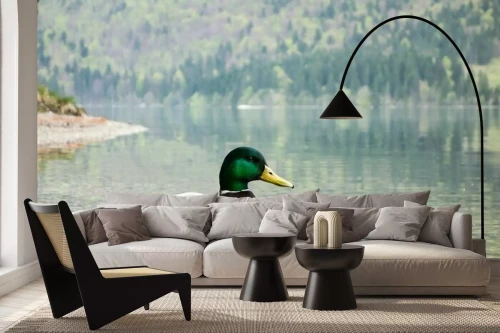 Visualisatie van het product