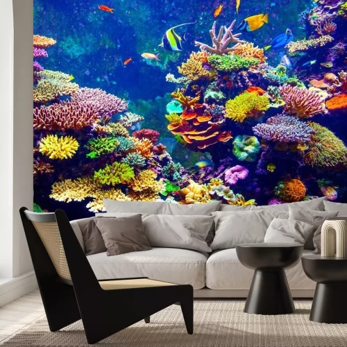 Fotobehang Veelkleurig koraalrif