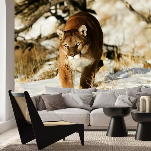 Fotobehang Rode poema in de sneeuw