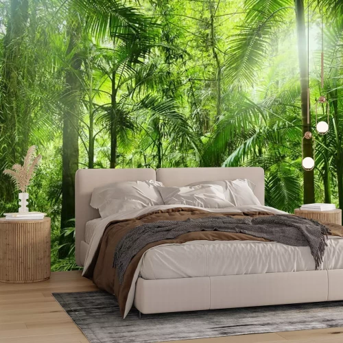 Fotobehang Rainforest