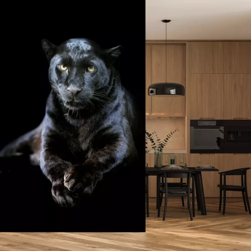 Fotobehang Dier op een donkere achtergrond