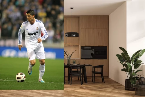 Visualisatie van het product