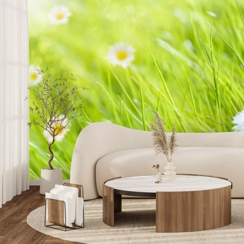 Sticker bloemen op groen gras