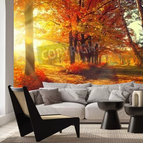 Fotobehang Bomen bij zonsopgang in de herfst