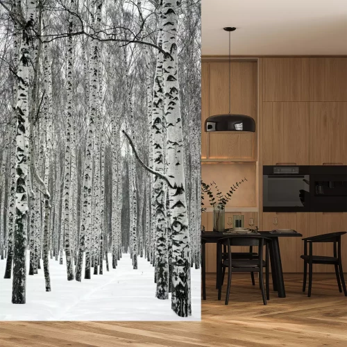 Fotobehang Hoge berken in de winter