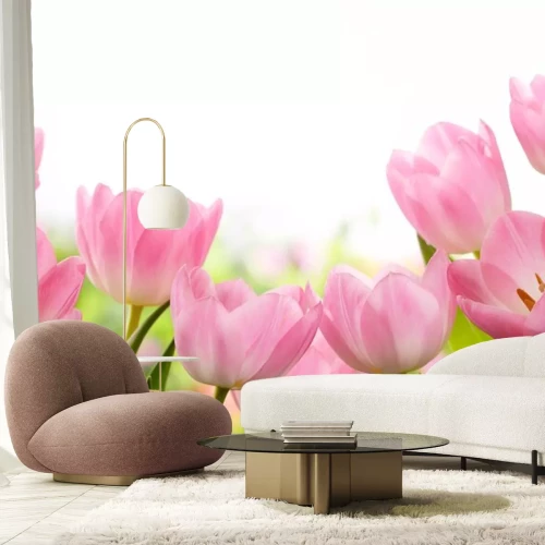 Sticker Roze tulpen in close-up